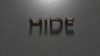 HIDE (Christian Scholz) 